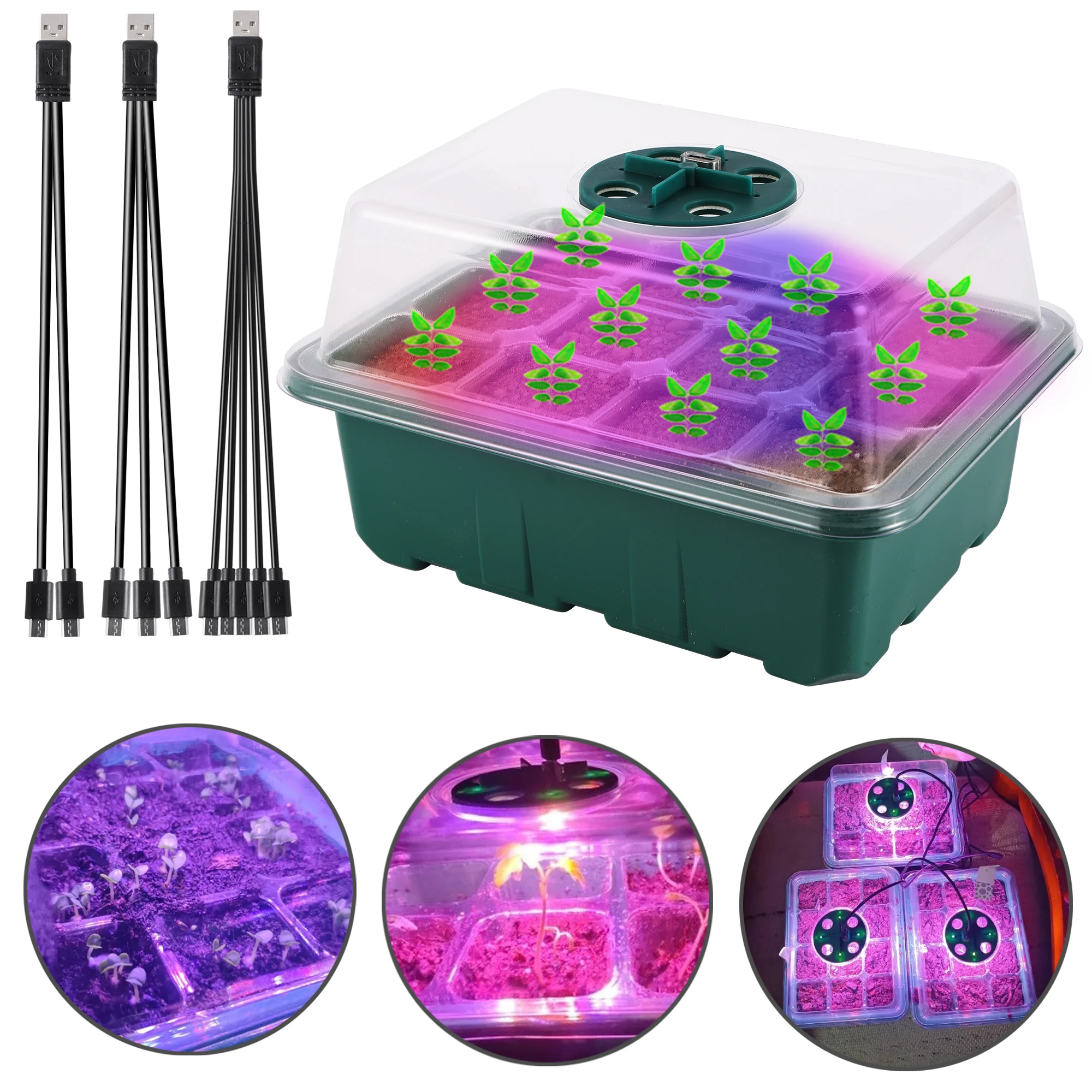 Garten Anbau Box mit wachsenden leichten Sämling Starter Kindergarten Tablett Gemüse Sukkulenten Blume atmungsaktiven Keimt opf Image