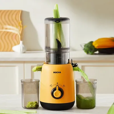 Large Caliber Juicer Household Low-speed Juicer Multifunctional Fruit Vegetable Screw Slow Juicer