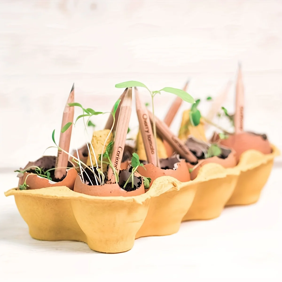 Plantable-Bleistifte Image