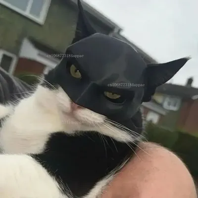 TONG Katze Fledermaus Cool Man Maske Katze Avenger Maske Matte süße Fledermausmaske Superhelden Image