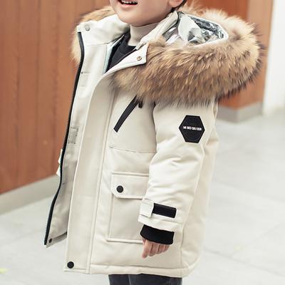 Boys 3D Kids Puffer Jacket Plain Down Coat Puffer Jacket Long Sleeve Fall Winter Active Cool Kids 3-10 Years Vacation Daily Regular Fit