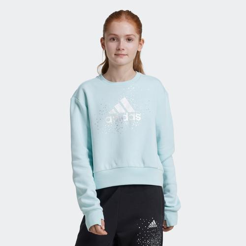 Sweatshirt ADIDAS SPORTSWEAR 