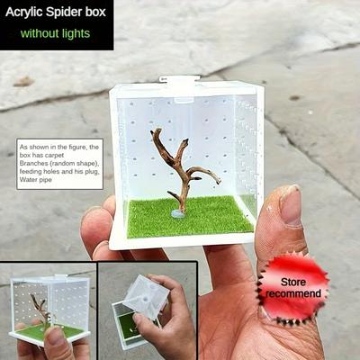 TEMU Acrylic Breeding Box For Spiders, Mantises & Insects - Transparent Habitat With Ventilation For Reptiles & Amphibians