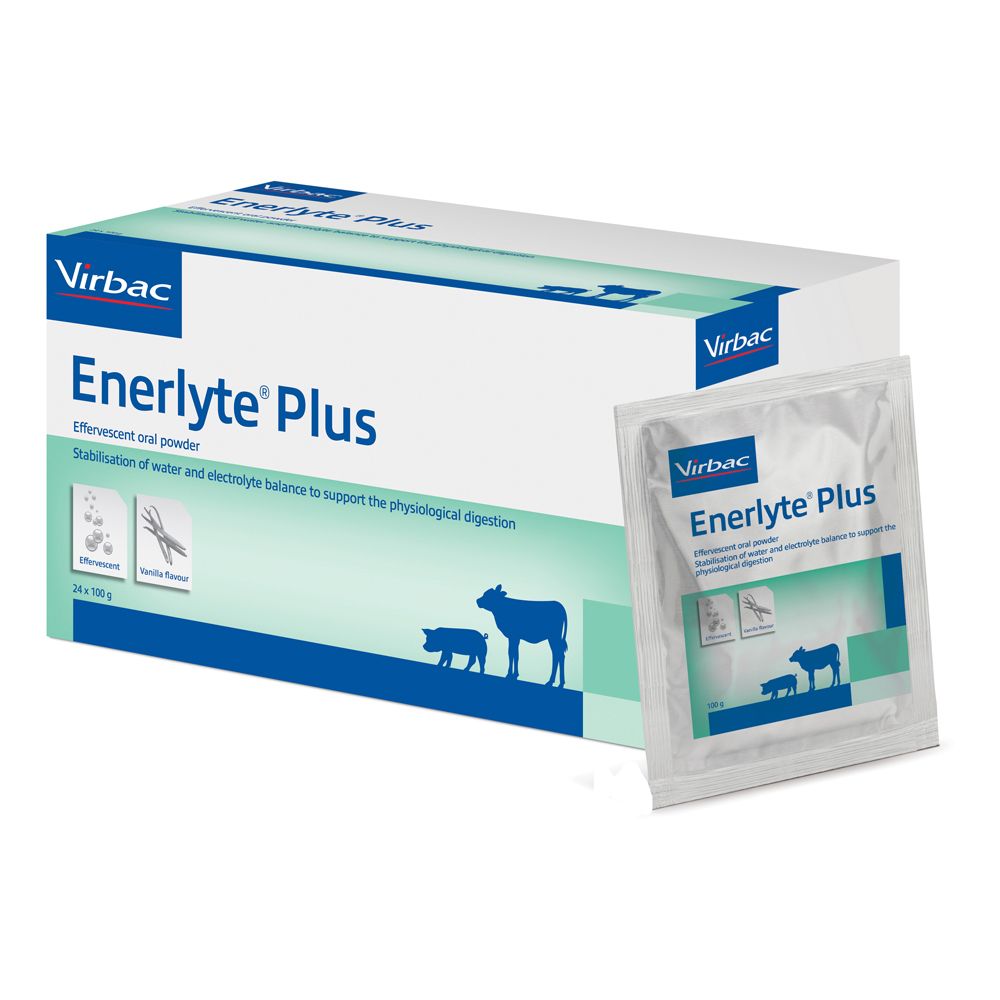 Enerlyte Plus Scatola 24 Buste Da 100 G 24x100 g