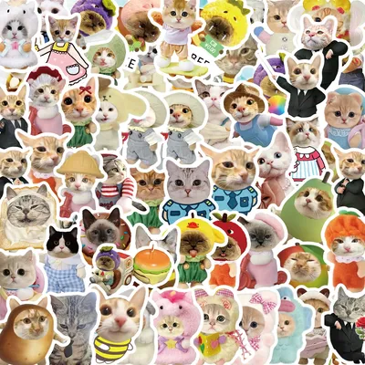 62PCS Lustige Katze Aufkleber Cartoon Nette Aufkleber Spielzeug Schreibwaren Gitarre Telefon Fahrrad Image