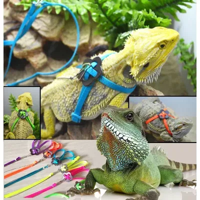 Reptile Leash Lizard Traction Rope Climbing Pet Leash Walking Control Rope For Reptile Amphibians