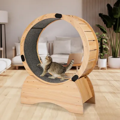 Cat Exercise Wheel – Running, Spinning & Scratching Fun, Treadmill with Carpeted Runway, Great for