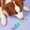 Puppy Fetch Interactive Play Toy Squeak Toys With High Flexibility Dog Chew Toys Puppy Teething Chew