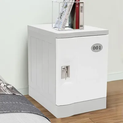 Lockable Storage Cabinet 19