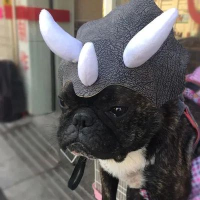 Costume+Hats+Headbands