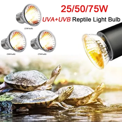 1/5/10PCS 25/50/75W UVA+UVB Reptile Lamp Bulb Turtle Basking UV Full Spectrum Sunlamp Heating Light