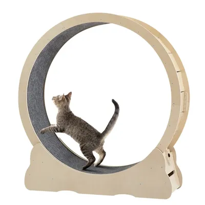 Cat Exercise Wheel - Indoor Treadmill with Carpeted Track, Safety Latch, Weighted Wheel, Natural