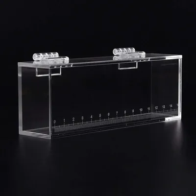 Fishing Photo Tank Isolation Breeder Box Hatchery Incubator Fish Viewing Box