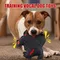 Dog Plush Toy For Chewing Squeaky Dog Plush Toy Plush Toy Tough Interactive Toy Soft Dog