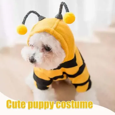 Pet+Costumes