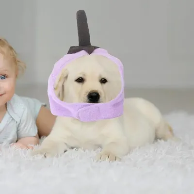 Costume+Hats+Headbands