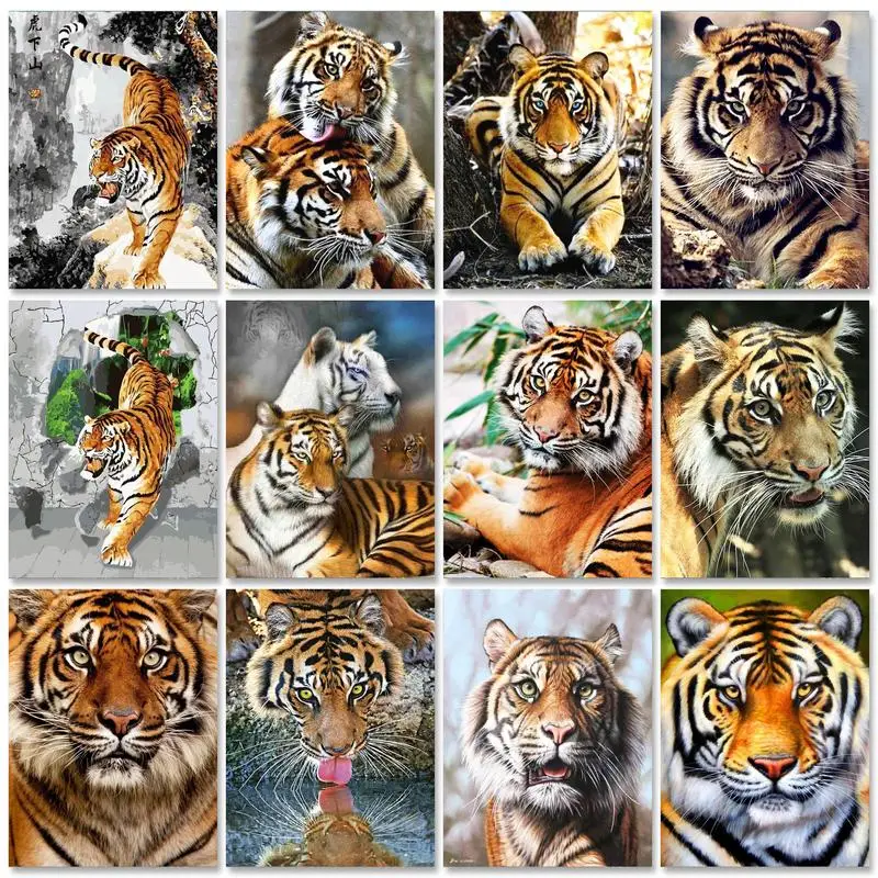 Gatyztoire peinture à l'huile par numéros Kit de peinture tigres adultes artisanat numéro peinture bricolage cadeau décors pour la maison photos par numéro peint à la main