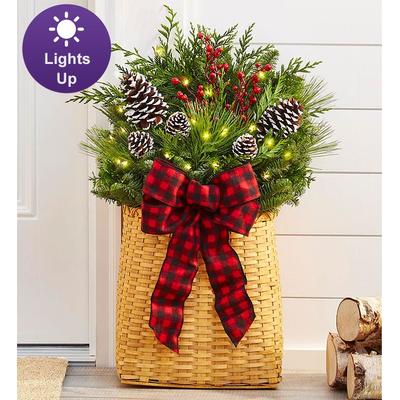 1-800-Flowers Flower Delivery Evergreen Basket W/ Lights