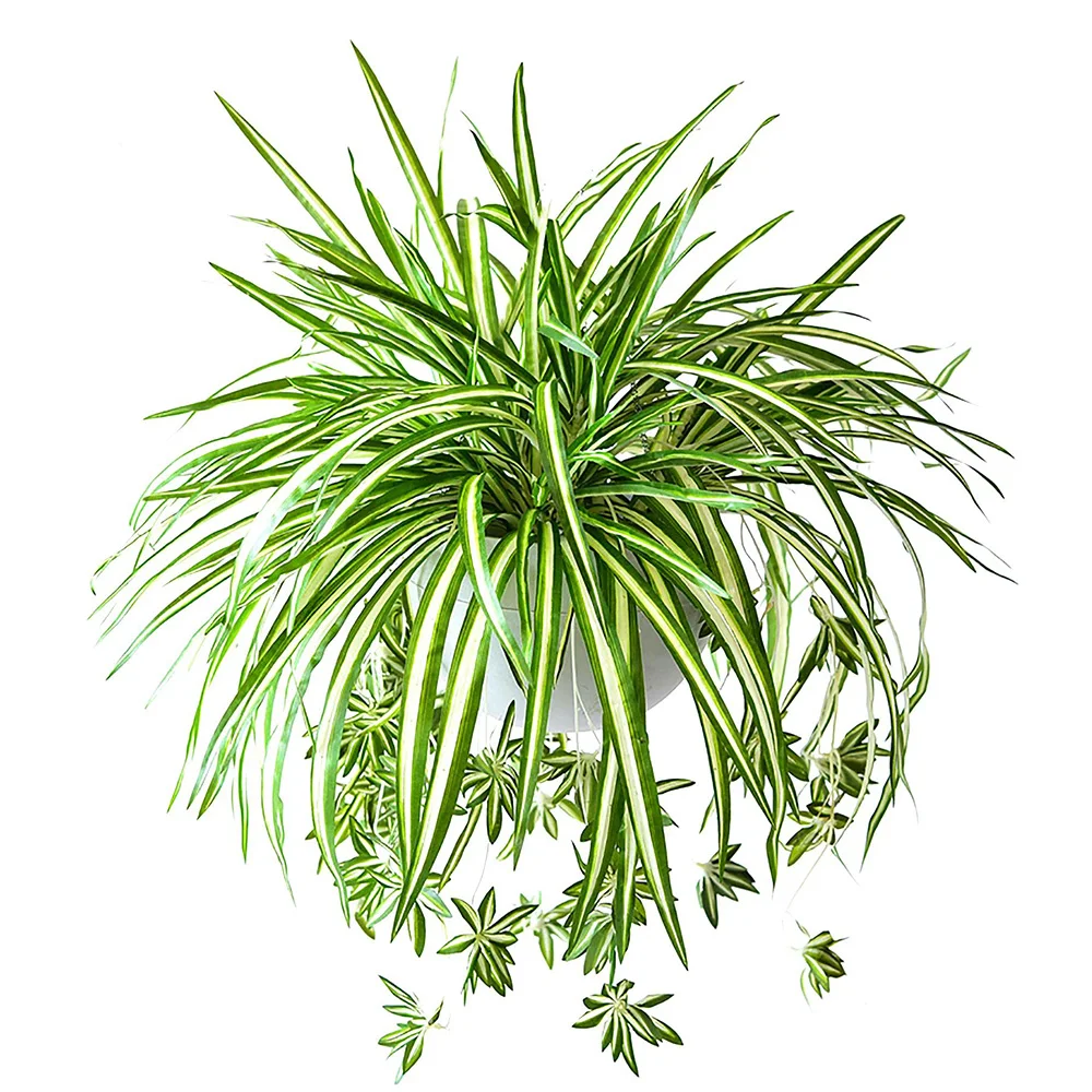 1pc künstliche Pflanzen hängen Chlor ophytum Kunststoff gefälschte Pflanze Grün für Zimmer Home Yard Wand dekoration Garten dekoration im Freien Image