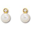 Paar Ohrhänger ONE ELEMENT "Zirkonia Ohrringe Ohrstecker aus 333 Gelbgold", gold, Ohrringe, Damen, Damen,mit Zirkonia, Gelbgold 333-Gold, Gelbgold 333, Gold, Damen Gold Schmuck