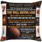 TEMU 1pc Short Plush Classic Retro Throw Pillow, Basketball To My Son Pillowcase Soft Farmhouse Sofa Decor Birthday Gift, No Pillow Insert, 18 X18 Inches