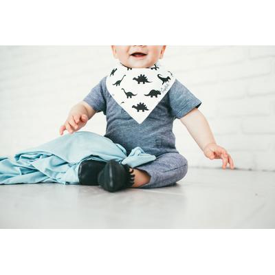 Copper Pearl Baby Bandana Bibs, 4 Pack - Wild