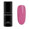 NEONAIL - UV Gel Nail Polish Smalti 7.2 ml Oro rosa unisex