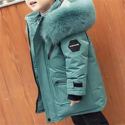 kinderkleidung Unisex Daune Hoodie Jacke Oberbekleidung Feste Farbe Langarm Tasche Mantel Outdoor Täglich Basic Schwarz Weiß Rote Herbst Winter 4 Jahre