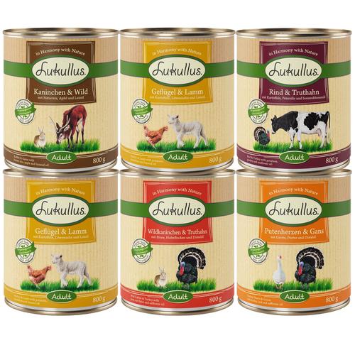 Lukullus Mixpakete zum Sonderpreis! - Mix Adult Naturkost (5 Sorten) 6 x 800 g