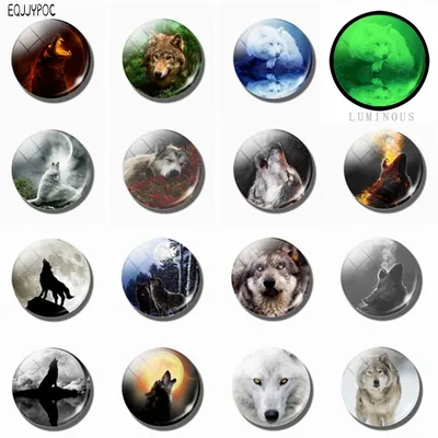 15 Pcs Some Wolf Kühlschrank Magneten Glas Dome Leucht Magnetischen Aufkleber Kühlschrank Whiteboard Image