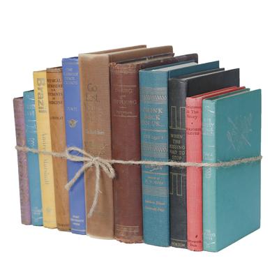 Books Decorative Accessories: Vintage Mix ColorPak