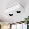 Spots de plafond led Plafonnier apparent - 14W Spot apparent blanc Spot apparent avec 2 flammes