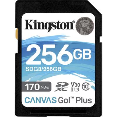 KINGSTON Speicherkarte "Canvas Go Plus microSD 256GB + ADP" Speicherkarten Gr. 256 GB, schwarz