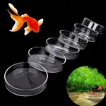 Bol d'alimentation pour Aquarium, mangeoire pour Aquarium, crevettes, poissons tropicaux, poisson