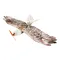 Dancing Wings Hobby E15 Foam RC Airplane EPP Biomimetic Mini Eagle 1200mm Electric Flying Wing Radio