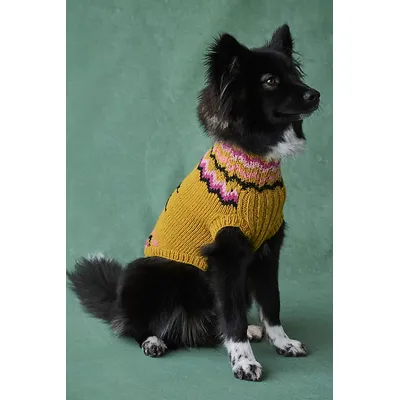 Penguin Sweater by French Knot at Free People in Yellow Pink Combo, Size: Large