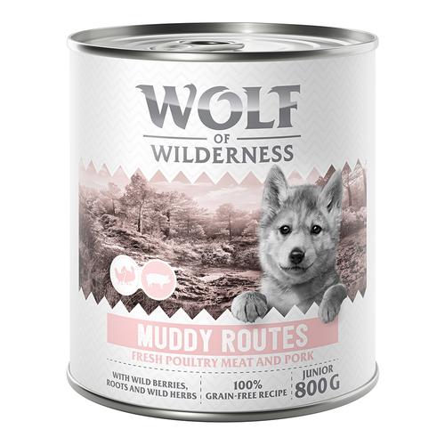 10 € Rabatt sichern! Sparpaket Wolf of Wilderness 24 x 800 g - JUNIOR Muddy Routes - Geflügel mit...