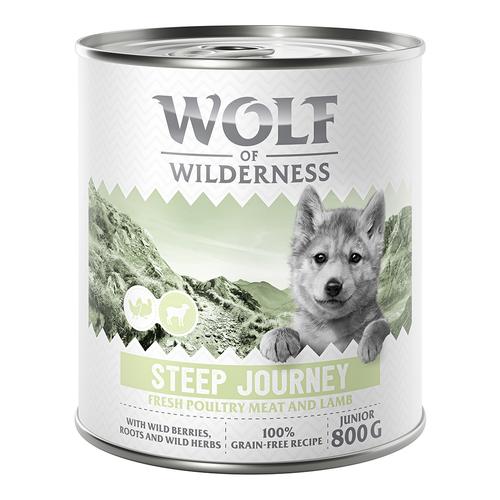 10 € Rabatt sichern! Sparpaket Wolf of Wilderness 24 x 800 g - JUNIIOR Steep Journey - Geflügel...