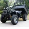 Automatico Farm ATV 250cc Quad ATV Cargo con 1x1M semirimorchio fuoristrada fuoristrada Dune Buggy