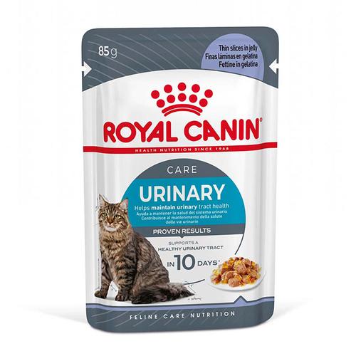 Sparpaket: 48x85g Royal Canin FCN Urinary Care in Gelee Katzenfutter nass