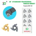 Inserti in carburo con filettatura trapezoidale TR-30 ° 16ER 16IR 1.5TR 2.0TR 22ER 22IR Lama filettata CNC Piastra filettata Tornio Utensile per tornitura