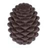 1 Toy Pine Cone Puzzle Toy TIAKI Dog Toys