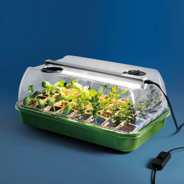 Mini-Gewächshaus Gainsborough Image