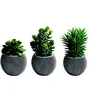 Plantes artificielles Herboria - Pot rond en terre cuite - Lot de 3