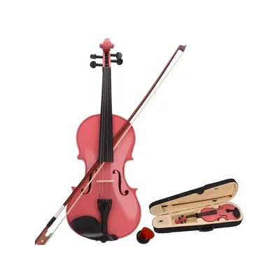 Size 4/4 Acoustic Violin Set,Beginner Violin Vintage Solid Wood Violin Starter Kit with Carrying