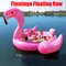 6-8 persone enorme fenicottero piscina galleggiante gigante gonfiabile unicorno piscina accessori