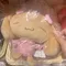 Kawaii Sanrio Figure Mocha Dog felpa con cappuccio giocattoli di peluche Stuffe Animals Cute