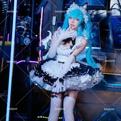 Nikke Cosplay Kostüm Frauen privat Dienst mädchen Kleid Anime Cosplay private Katzen ohren Halloween Image