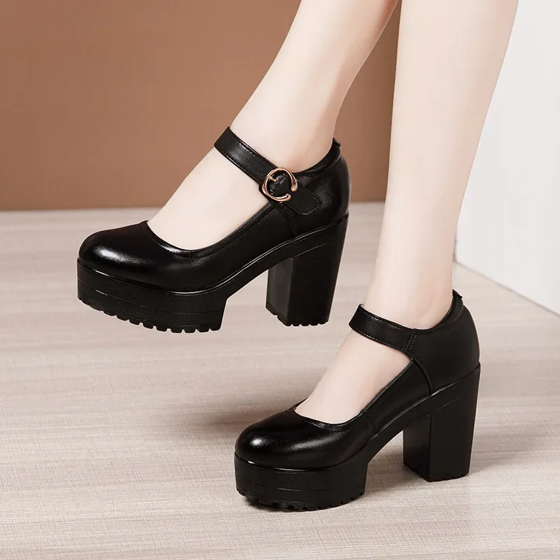6 8 10cm Kleine Größen 32-43 Flache Dicksohlige Echtleder-Schuhe Plateau-Pumps 2026 Blockabsatz-Schuhe Büro-Modell Image