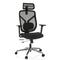 Bürostuhl / Chefsessel CASSILIS B Sitz Stoff / Rücken Netz schwarz hjh OFFICE